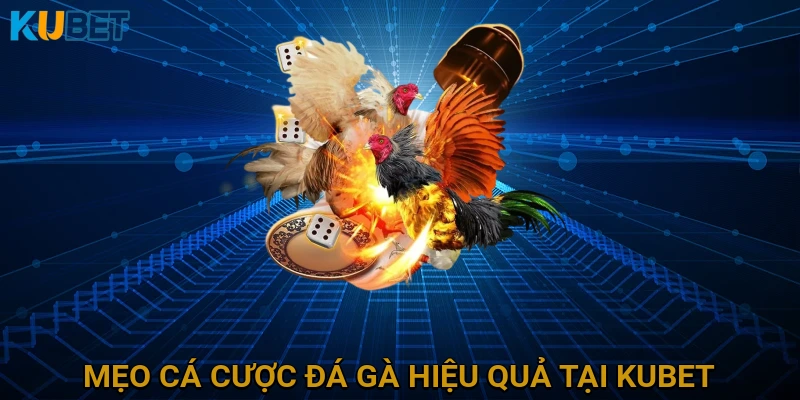meo-ca-cuoc-da-ga-hieu-qua-tai-kubet